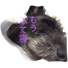 [LINEスタンプ] 番犬テツ