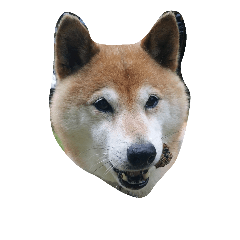 [LINEスタンプ] inugoku