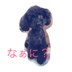 [LINEスタンプ] hanachan stanp