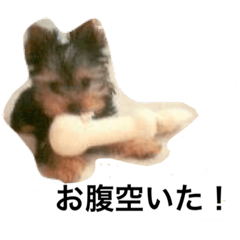 [LINEスタンプ] くららのご挨拶