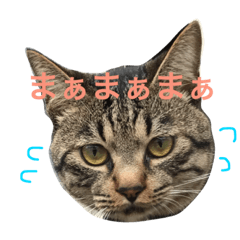 [LINEスタンプ] うちのサブロー