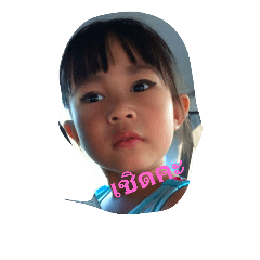 [LINEスタンプ] ProgramBrazil
