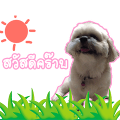 [LINEスタンプ] Nongma Moohan.