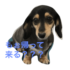[LINEスタンプ] M.D coco2