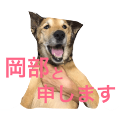 [LINEスタンプ] 岡部と申します