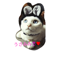 [LINEスタンプ] YUKIiiiiii