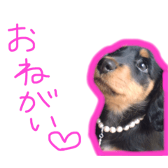[LINEスタンプ] ルイちゃんのスタンプ