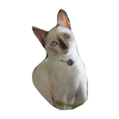 [LINEスタンプ] maimron