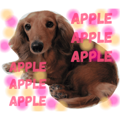 [LINEスタンプ] アップルと時々ミルク
