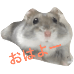 [LINEスタンプ] まるの1日