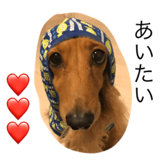 [LINEスタンプ] ダックス親子のレック・きなこ・ゆず