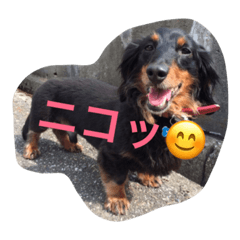 [LINEスタンプ] 小次郎と申します✌︎