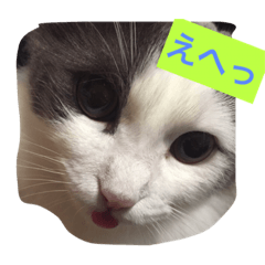 [LINEスタンプ] カロンの毎日