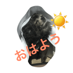 [LINEスタンプ] chiwa＆yo-chiwa.family