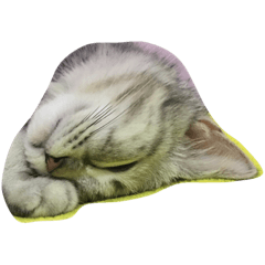 [LINEスタンプ] HIPPOCAT