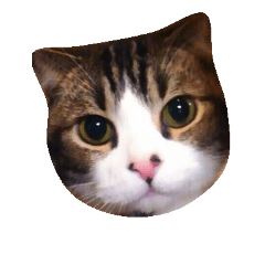[LINEスタンプ] JAM Scottishfold