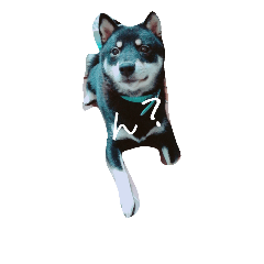 [LINEスタンプ] 愛犬『ココ』