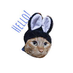 [LINEスタンプ] うににゃん