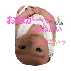 [LINEスタンプ] ひなまる