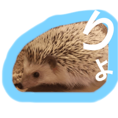 [LINEスタンプ] harinezumi no tare