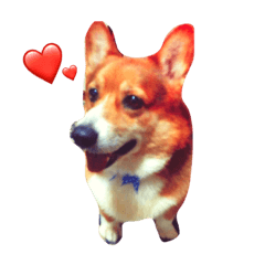 [LINEスタンプ] アクセルの毎日！