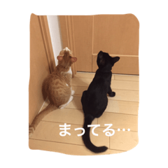 [LINEスタンプ] ハチとブシ