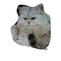 [LINEスタンプ] 猫のたらこ