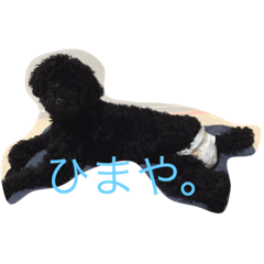 [LINEスタンプ] speaking dogs