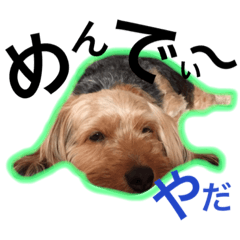 [LINEスタンプ] まめさんとらむおくん