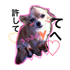 [LINEスタンプ] まろまみれ！