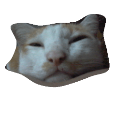 [LINEスタンプ] i love cat cat