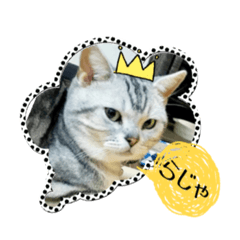 [LINEスタンプ] みおらいふ