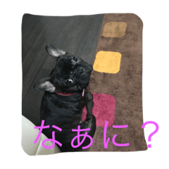 [LINEスタンプ] もも0005
