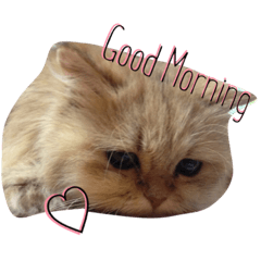 [LINEスタンプ] ミルとモン