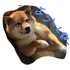 [LINEスタンプ] I'm JIRO