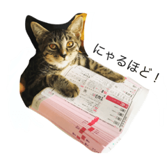 [LINEスタンプ] キジトラ猫モカ1