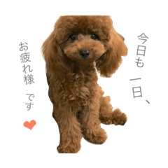 [LINEスタンプ] リロちゃん❤︎