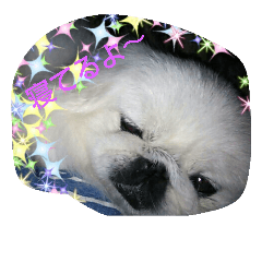 [LINEスタンプ] ペキ