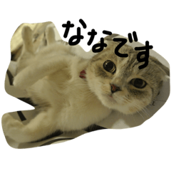 [LINEスタンプ] ナナです