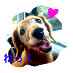 [LINEスタンプ] 天真爛漫 すずちゃん