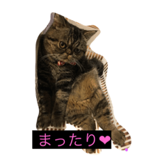 [LINEスタンプ] マル＆クゥー