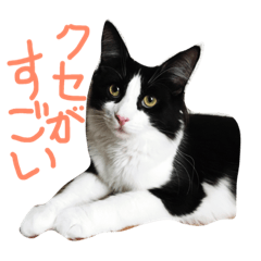[LINEスタンプ] メル ☆ ノア