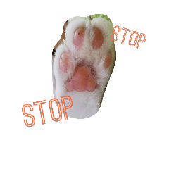 [LINEスタンプ] 家の猫cat's