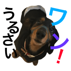 [LINEスタンプ] 犬"