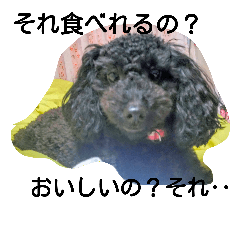 [LINEスタンプ] whitedog＆blackdog(richomochieyi )