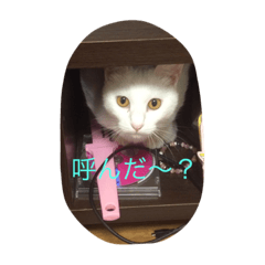 [LINEスタンプ] ど様スタンプ