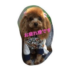 [LINEスタンプ] くるみ0701