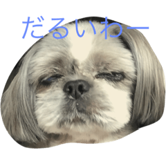 [LINEスタンプ] シーズーとペキニーズの日常