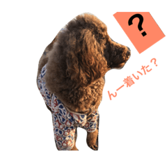 [LINEスタンプ] ザイオン スタンプ 24 Ⅱ