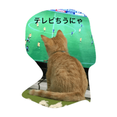 [LINEスタンプ] 猫 ネコ こねこ